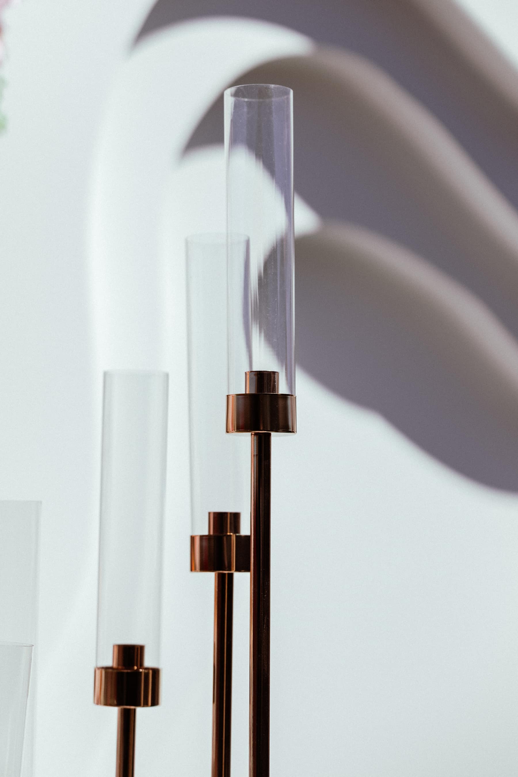 Elegant entrance (8)